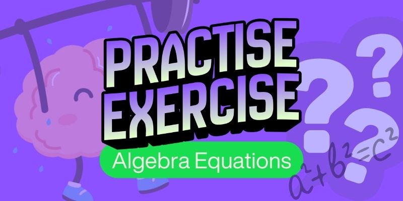 Algebra Equations Exercise